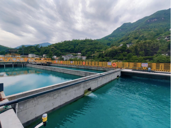 引江補漢:踐行“兩山”理念 繪就生態(tài)畫卷447.png